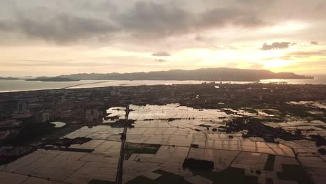 Aerial-panning-flooded-paddy-field-with-Penang-Bridge